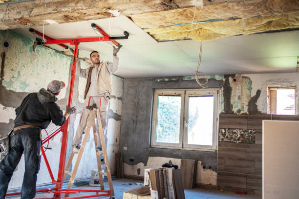 Best Eco-Friendly Insulation in Okemos, MI