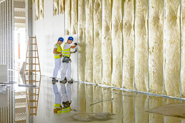 Best Geographic-Specific Insulation Services in Okemos, MI